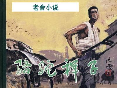 大灰狼永久回家地址在线观看